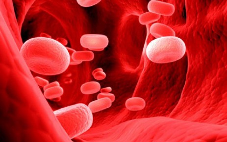 Il sangue Il sangue