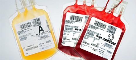 Plasma e sangue intero